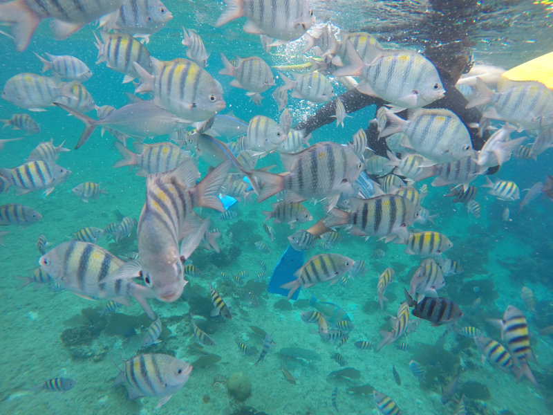 #1 - Best Cruise Photo
