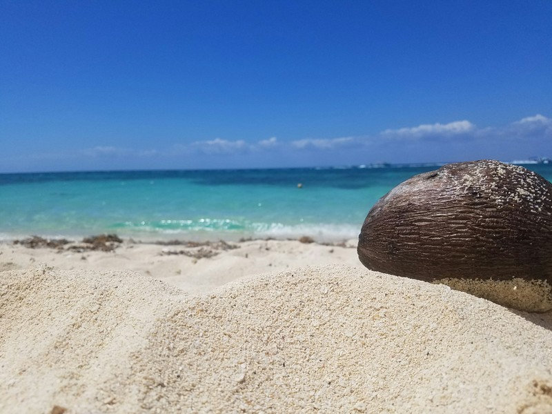 #18 - Best Cruise Photo