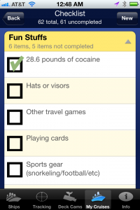 Cruise Packing Checklist