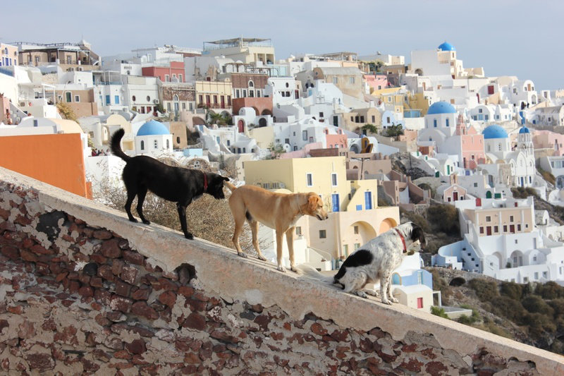 Kithira Greece - Strahlemann