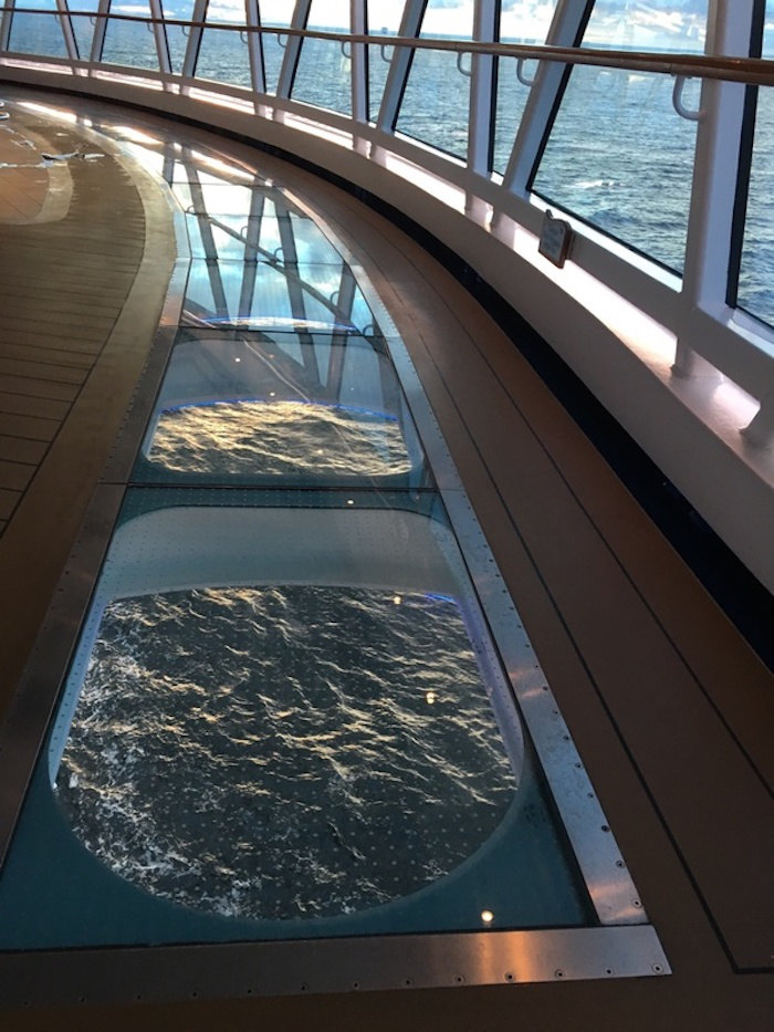 regal princess seawalk - ship mate cruise photo