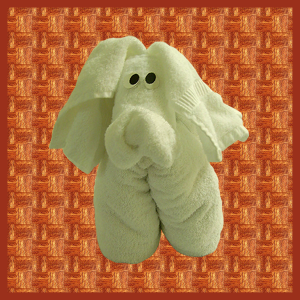 Towel Dog