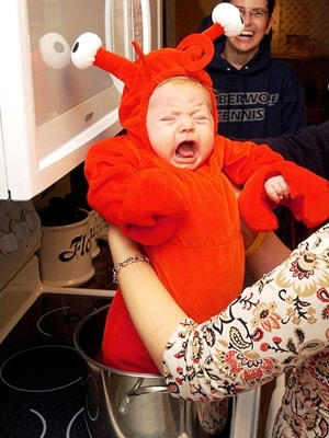 baby lobster costume