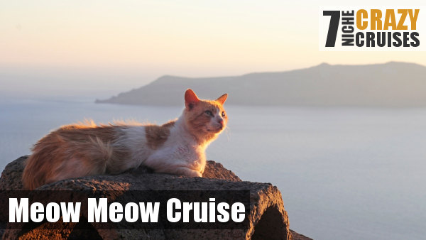 cat cruise
