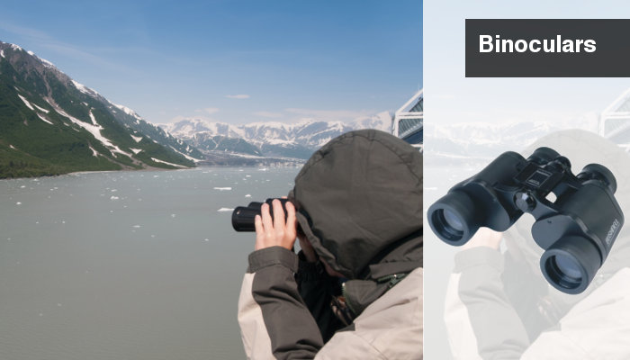 cruise binoculars