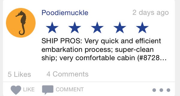 cruise ship review