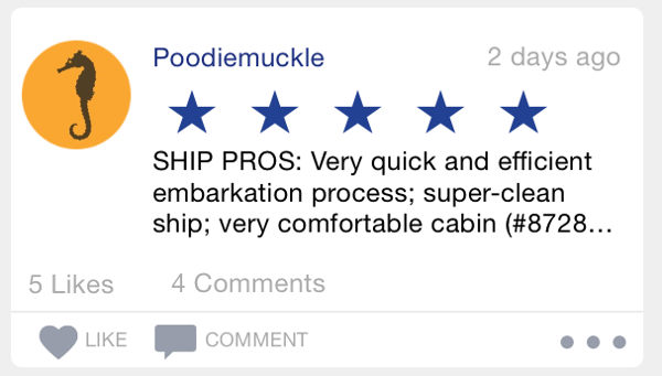 cruise ship review
