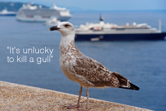 unlucky cruise
