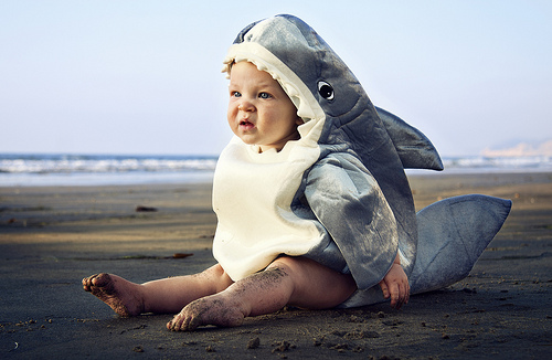 shark angry baby