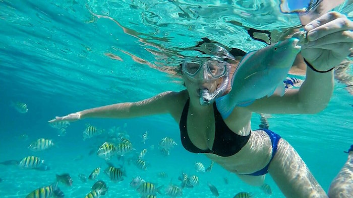 snorkel fish feed