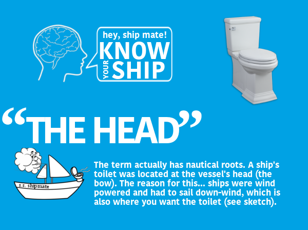 the head toilet